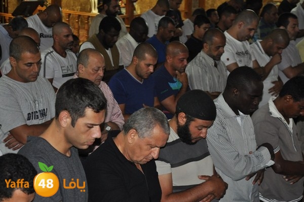 trawe7 mahmodiya 713 (32).JPG